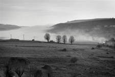 transhumance en aubrac transhumance en aubrac